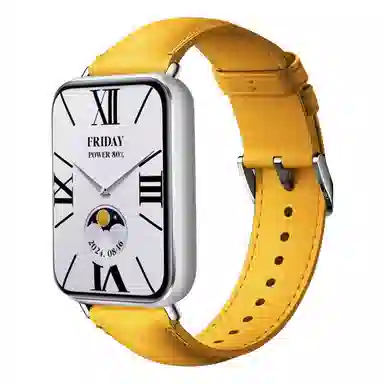 Dresself 98ProWatch 54