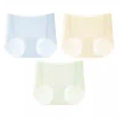 二三二三 轻薄透气吸汗冰丝速干无痕清爽舒适亲肤柔软不夹臀防走光凉感简约日常百搭短裤 组合装三角内裤 女款