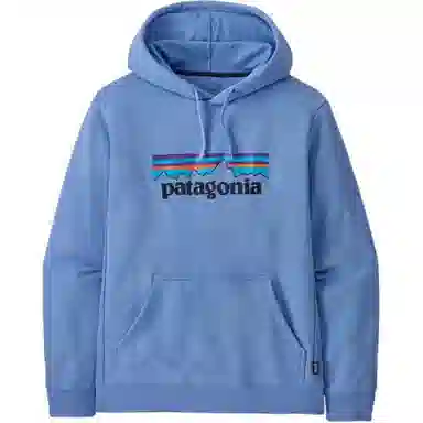 patagonia SS22 Logo