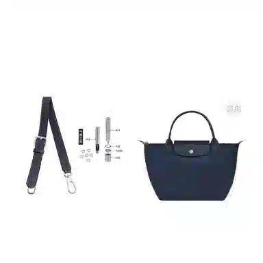 Longchamp Hobo Small