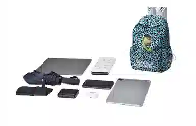 DRACONITE X HAPE X Space Monkey