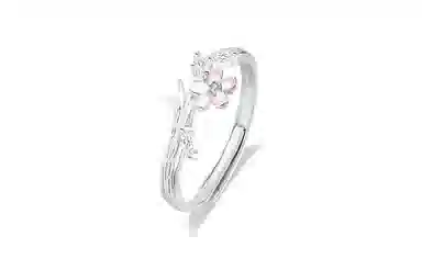 RINGLOVE ins 925
