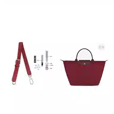 Longchamp Hobo Small
