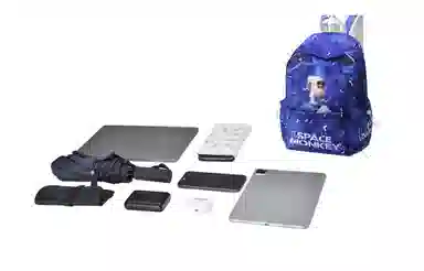 DRACONITE X HAPE X Space Monkey