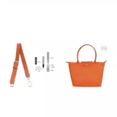 Longchamp Hobo Small