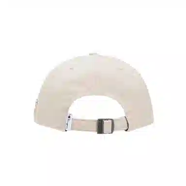 Champion Script Washed Ball Cap Health FW25