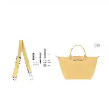 Longchamp Hobo Small