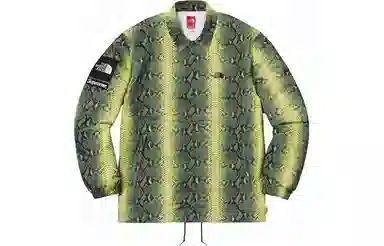 Supreme x The North Face Snake Print Jacket Green