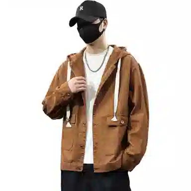 tonlion