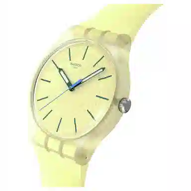 SWATCH Swatch Essentials 30 41mm
