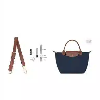 Longchamp Hobo Small