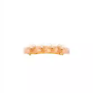 ALEXANDRE DE PARIS 8