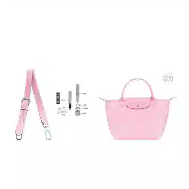 Longchamp Hobo Small