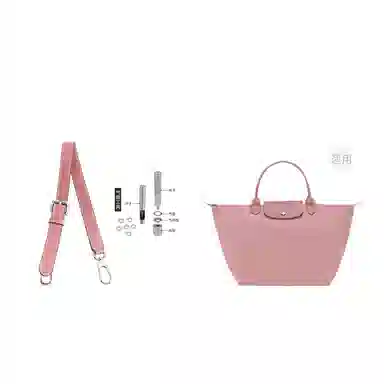 Longchamp Hobo Small
