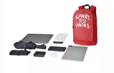 Spare No Pains Backpack