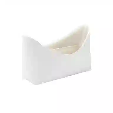 FANJI longchampEssential