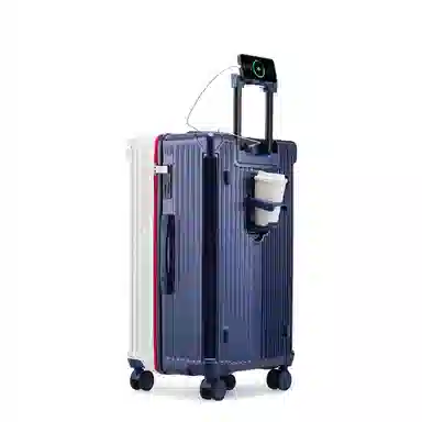Paul Frank Luggage