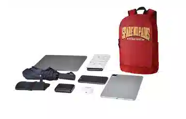 Spare No Pains Backpack