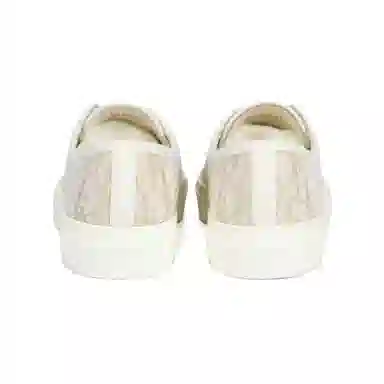 DIOR Walk'n'Dior Low Top Sneakers White Platinum
