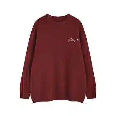 pallsupol cleanfitlogo