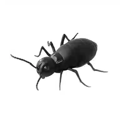 咕轹 搞怪遥控电动 蜘蛛 蟑螂 蚂蚁 创意整蛊玩具