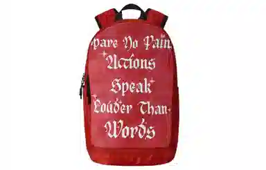 Spare No Pains Backpack