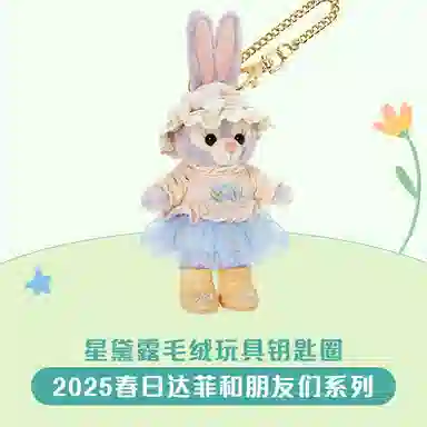 Disney x DISNEYLAND 2025 14.5cm14cm13.5cm13cm