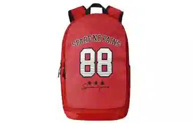 Spare No Pains Backpack