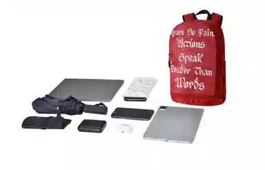 Spare No Pains Backpack