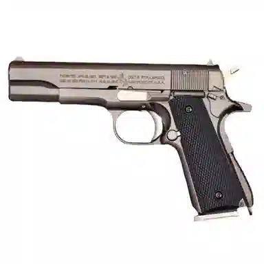 12.05 DM1911