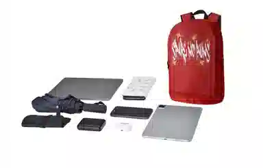 Spare No Pains Backpack