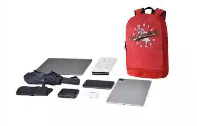 Spare No Pains Backpack