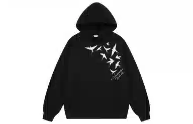 Pirkadat Oversize Hoodie Bird Silhouette