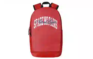 Spare No Pains Backpack