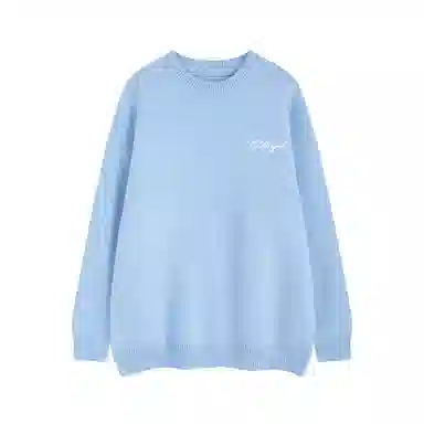 pallsupol cleanfitlogo