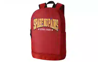 Spare No Pains Backpack