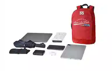 Spare No Pains Backpack