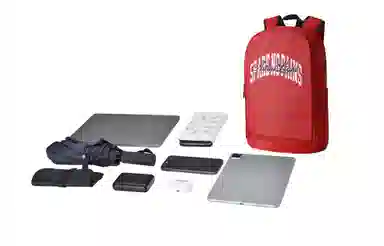 Spare No Pains Backpack