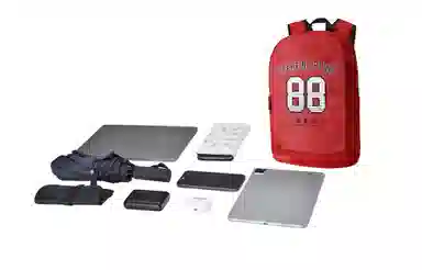 Spare No Pains Backpack