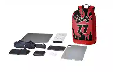 Spare No Pains Backpack