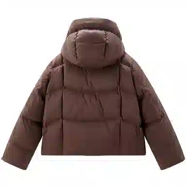 Peacebird Hot Air Balloon 2.0