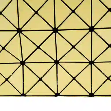 ISSEY MIYAKE Lucent Boxy Tote