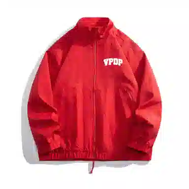 VPDP cleanfitlogo