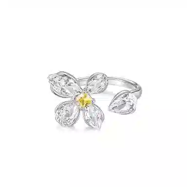 DESIGN CIRCLES ins S925