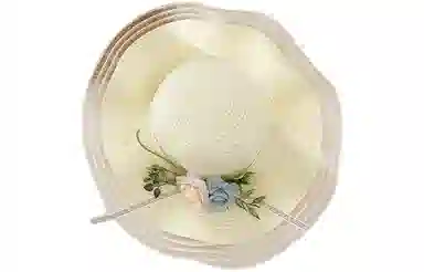 优幽兰 韩版波浪边花朵编织草帽女夏季法式海边度假太阳帽百搭时尚高级感大帽檐遮阳帽子 纤维素材料 防晒帽 女款