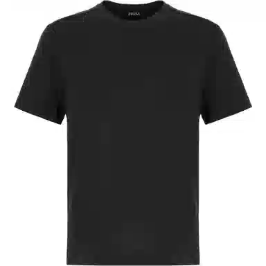 Zegna T