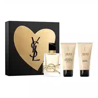 YSL 2023