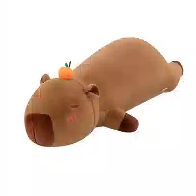 50cm60cm80cm100cm