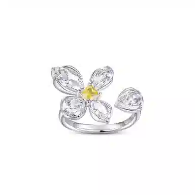 DESIGN CIRCLES ins S925