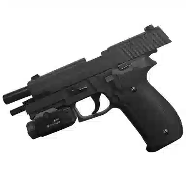 P226
